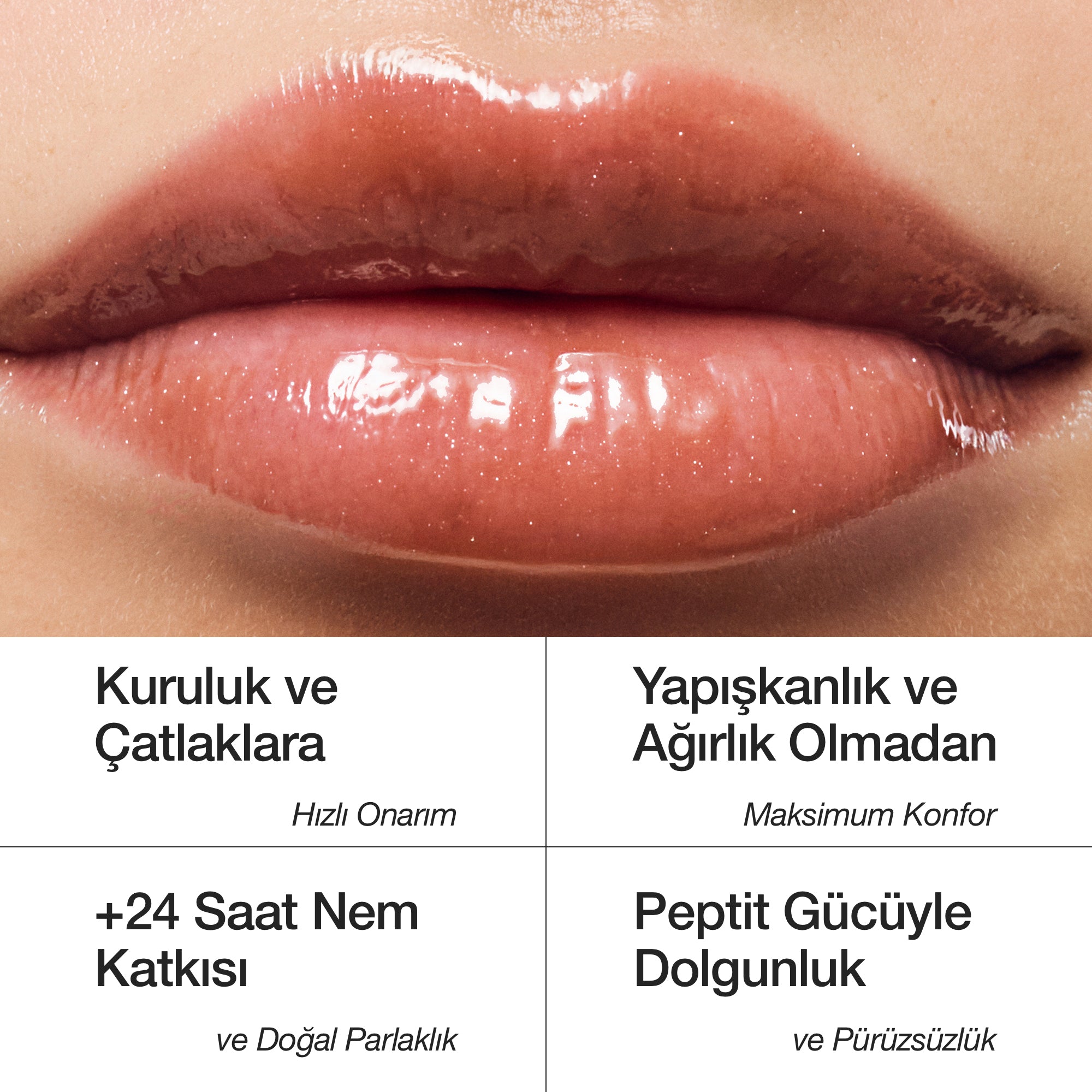 Delicious Vanilla Cake